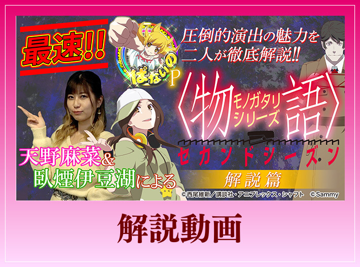 解説動画