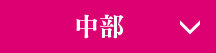 中部