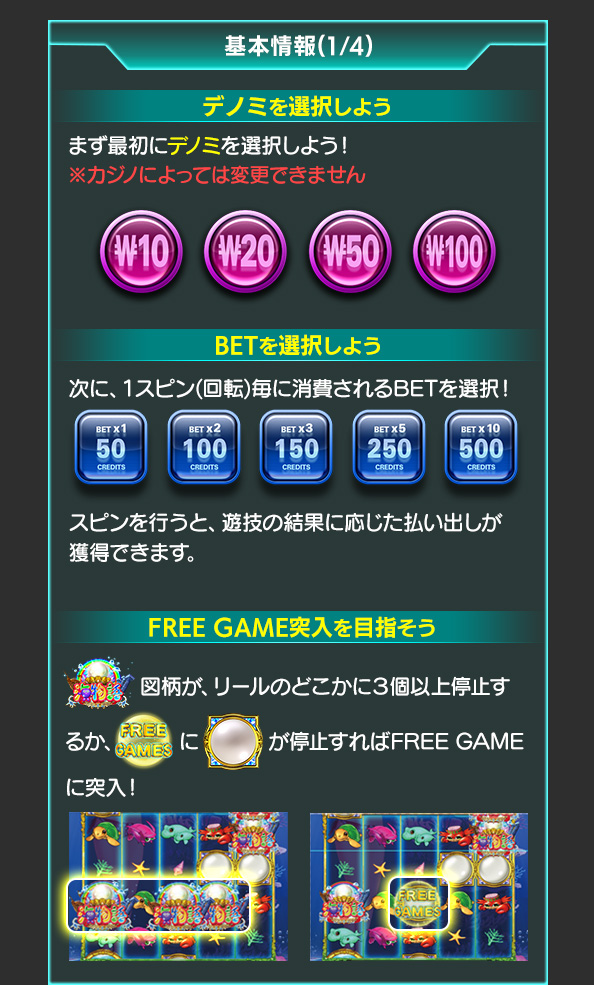 基本情報について