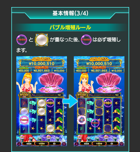 基本情報について
