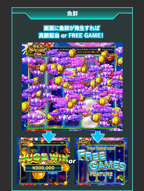 魚群について