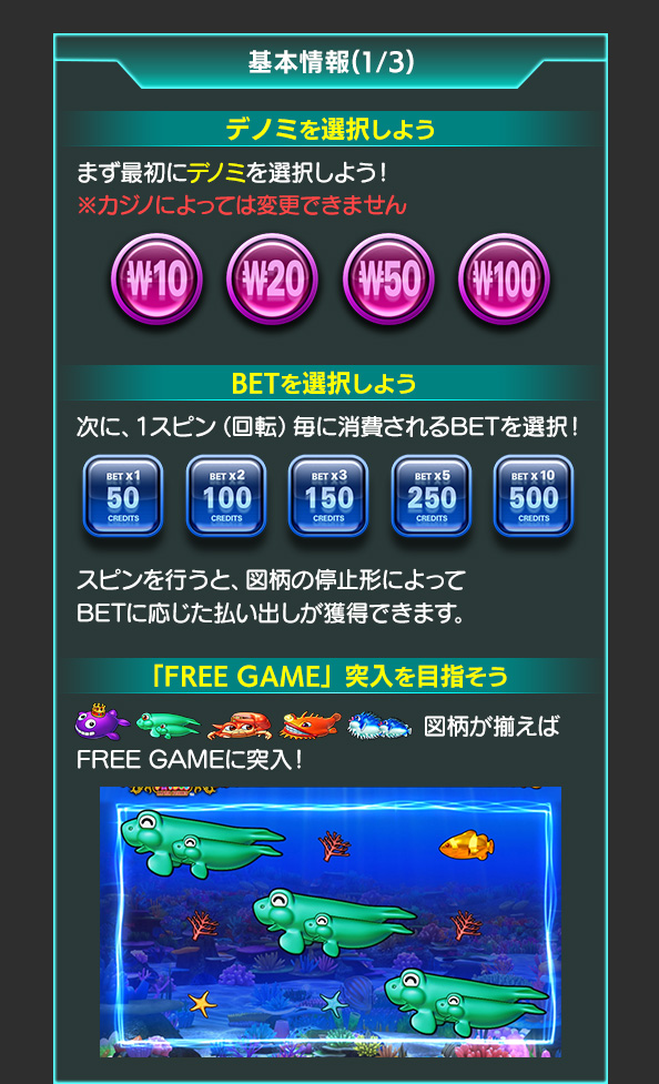 基本情報について