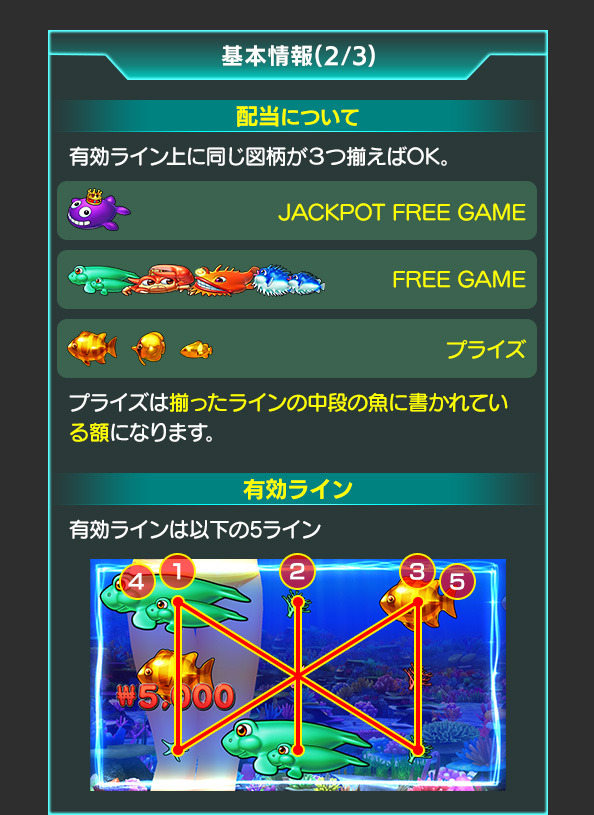 基本情報について