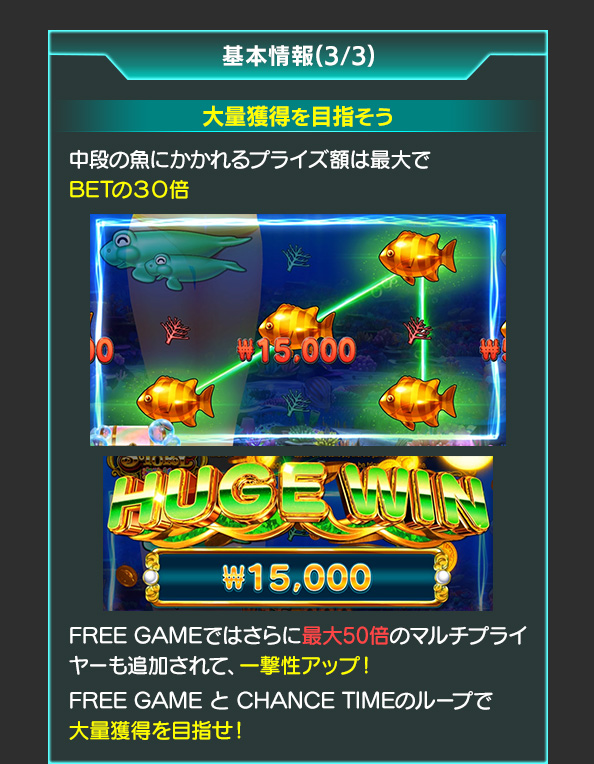 基本情報について