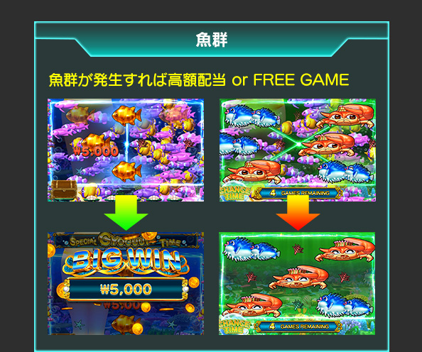 魚群について