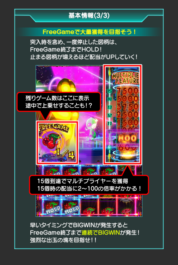基本情報について