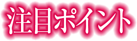 注目ポイント